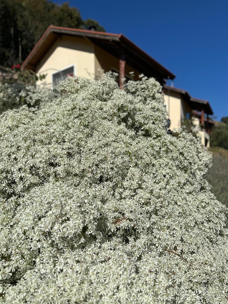 Pedra Grande Lodge *