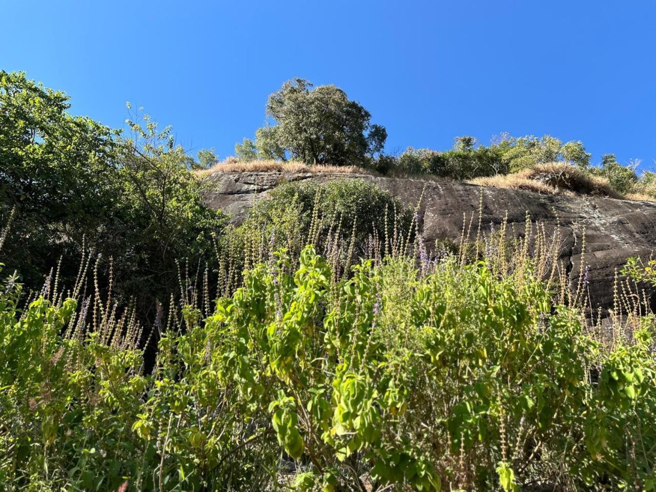 Lodge Pedra Grande *