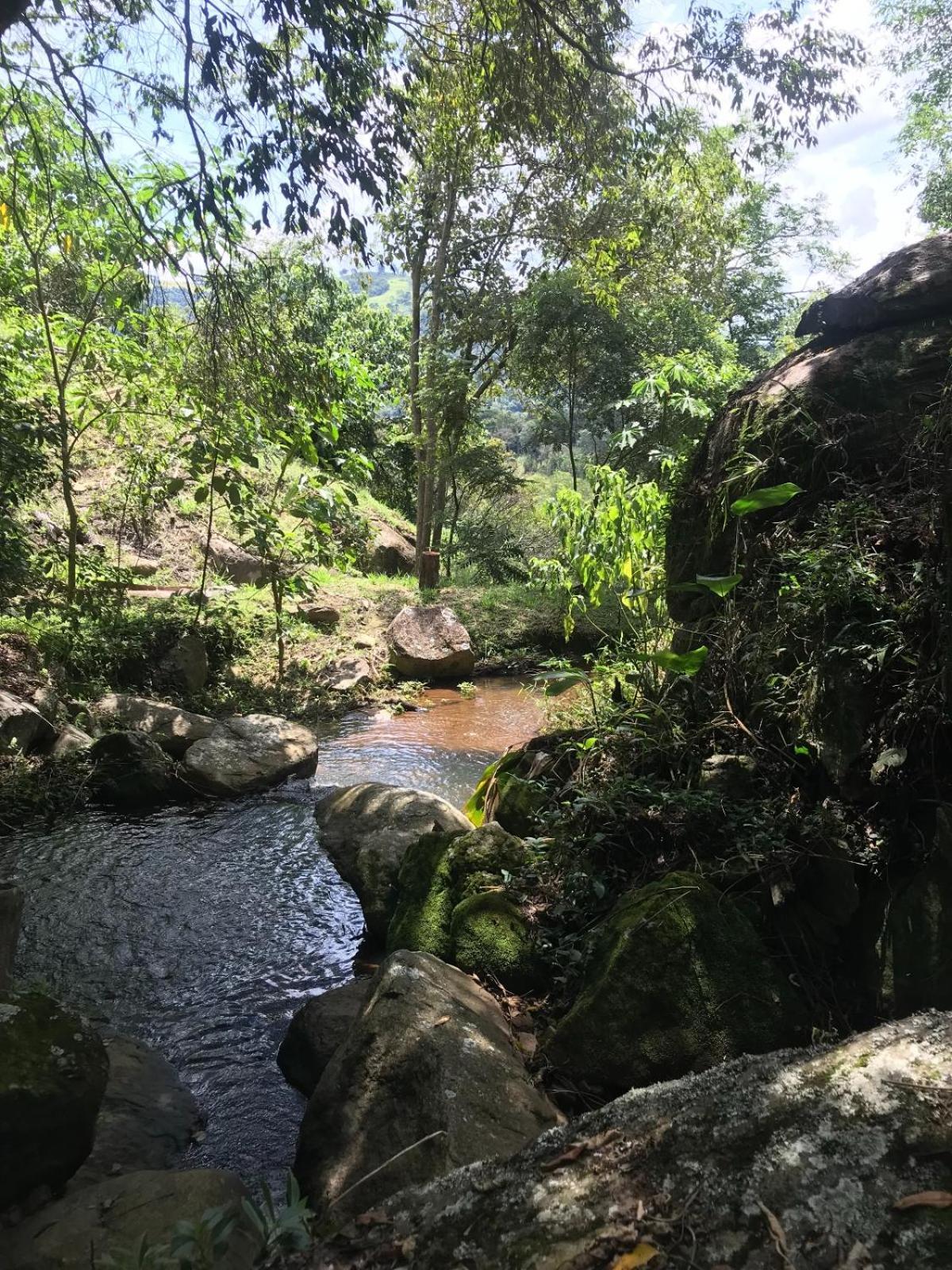 山林小屋 Pedra Grande