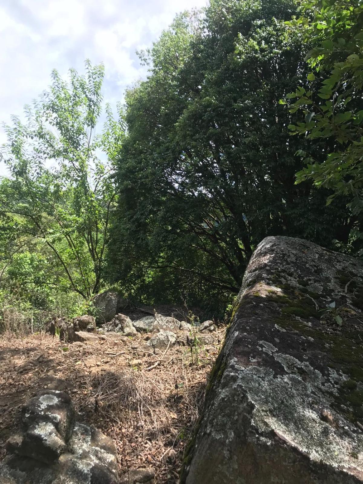 Pedra Grande Lodge